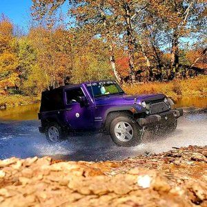 Meet your Posher, Betty